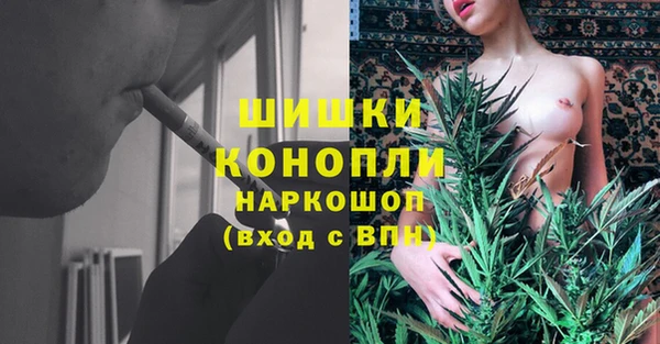 гидропоника Белокуриха