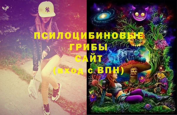 2c-b Белоозёрский
