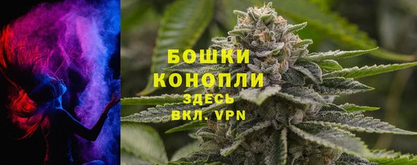гидропоника Белокуриха